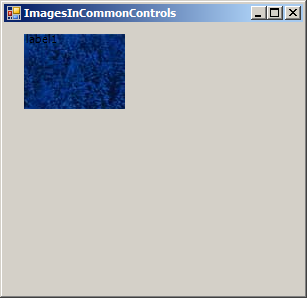 Add image to Label and set ImageAlign to MiddleRight