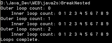 Using break with nested loops