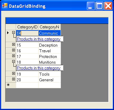 DataGrid Binding