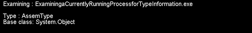 Examining a Currently Running Process for Type Information