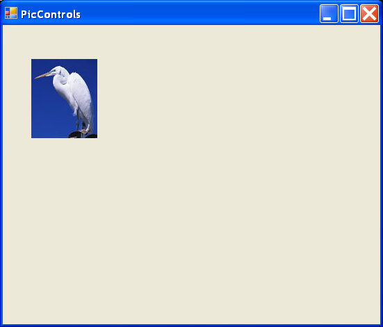 Picture Controls