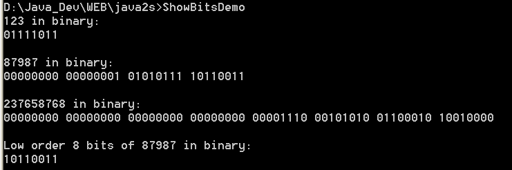 A class that displays the binary representation of a value