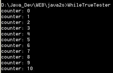 While true test
