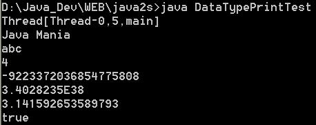 Data Type Print Test