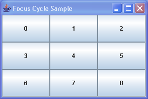 Focus Cycle Sample