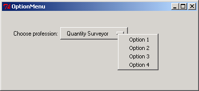 Option menu with four menu items