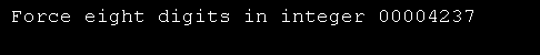  String Format: Force eight digits in integer