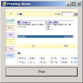 Assign Bmp file to a Print Document