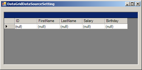 DataGrid DataSource Setting