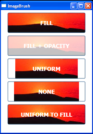 ImageBrush Stretch Style