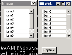 Capture a widget image with a GC