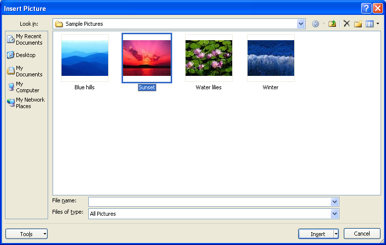 Locate and select a picture file you want. Click Insert.