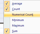 Click to toggle (on or off) the available types of calculations: Average, Count, Numerical Count, Minimum, Maximum, Sum