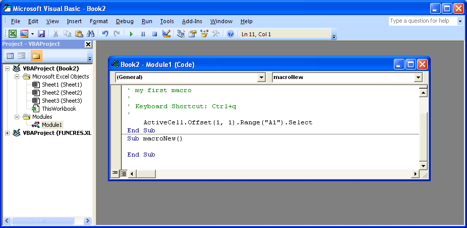 The Microsoft Visual Basic window opens.