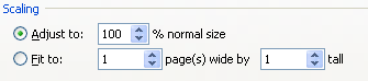To scale the page, click the Adjust to or Fit to option, and specify the adjust to percentage, or fit to the option.