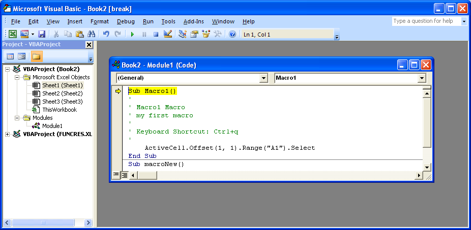 The Microsoft Visual Basic window opens.