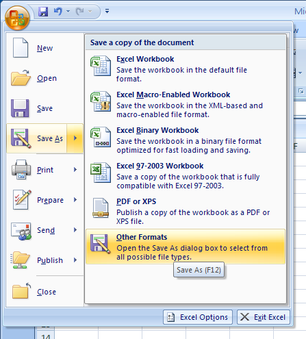 Click the Office button, click Save As, and then click Other Formats.