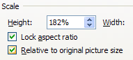 To keep the picture the same relative size, select the Relative to original picture size.