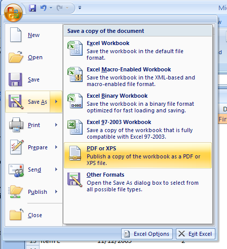 Click the Office button. Point to Save As and then click PDF or XPS.
