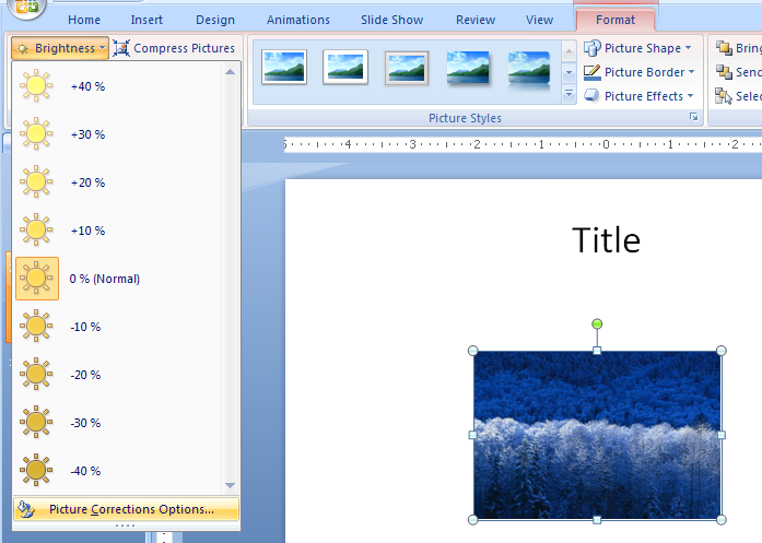 Click Picture Corrections Options to set other specific brightness percentages.