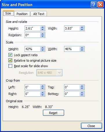 To keep the picture the same relative size, select the Relative to original picture size.