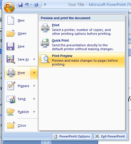 Click the Office button, point to Print, and then click Print Preview.
