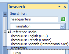 Click the list arrow, and then click Translation.