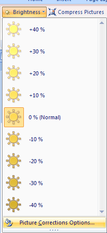 Click Picture Corrections Options to set other specific brightness percentages.