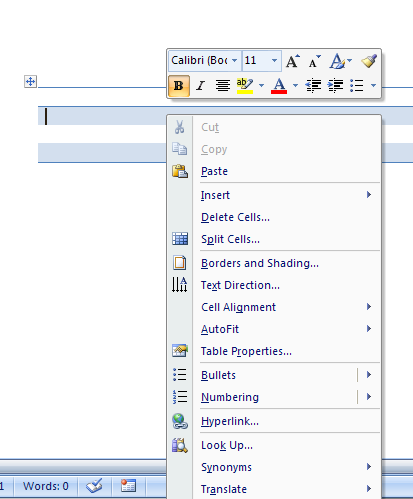 Choose A Command From A Shortcut Menu Content Sensitive Menu Word Window Introduction Microsoft Office Word 2007 Tutorial