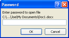 Then type a password to open the document.