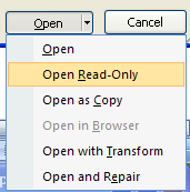 Open Read-Only to open the selected file with protection.