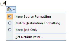 Paste Options button that appears after the paste operation.
