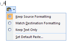Paste Options
