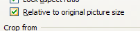 To keep the picture the same relative size, select the Relative to original picture size check box.