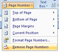 Then click Remove Page Numbers.