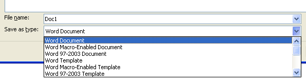 Then click the specific file format you want in 'Save as' file dialog box.