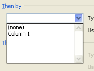 Click the second Sort by list arrow, select another column name, and then select the related sorting options.