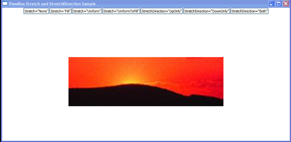 WPF Programmatically Change The Stretch And Stretch Direction Of Content Within A Viewbox