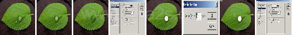 Photoshop Nature Water Drop Tutorial Photoshop Nature Water Drop Tutorial