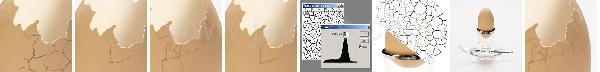 Photoshop Animal Eggshell Tutorial Photoshop Animal Eggshell Tutorial