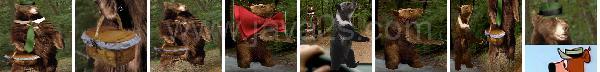 Photoshop Animal Bear Tutorial Photoshop Animal Bear Tutorial
