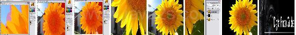 Photoshop Photo Background Tutorial Photoshop Photo Background Tutorial