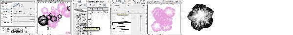 Photoshop Action Brush Tutorial Photoshop Action Brush Tutorial