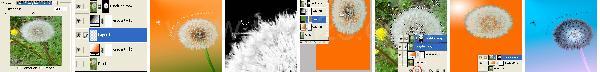 Photoshop Nature Dandelion Tutorial Photoshop Nature Dandelion Tutorial