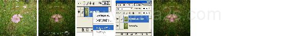 Photoshop Design Garden Tutorial Photoshop Design Garden Tutorial