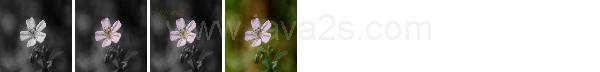Photoshop Action Select Tutorial Photoshop Action Select Tutorial