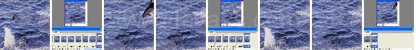 Photoshop Animation Dolphin Tutorial Photoshop Animation Dolphin Tutorial