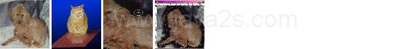 Photoshop Character Hair Cut Tutorial Photoshop Character Hair Cut Tutorial