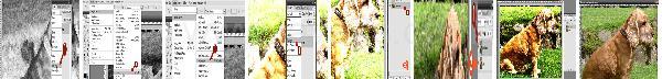 Photoshop Effect Sketch Tutorial Photoshop Effect Sketch Tutorial