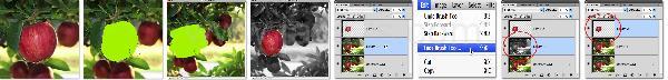 Photoshop Action Select Tutorial Photoshop Action Select Tutorial